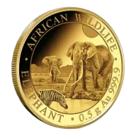 2026 1/2 Gram Somalia Gold Elephant Coin (BU)