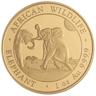 Somalia Elephant