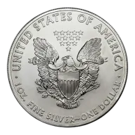 1 oz American Eagle Silver Coin