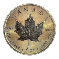 1 oz Canadian Silver Maple Leaf (Toned)