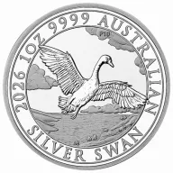 Swan