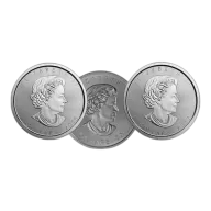 1 oz Maple Leaf Silver Coin