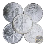 1 oz American Silver Eagle Coin (Random Year, Heavily Circulated)