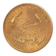 2011 1 oz American Gold Eagle Bullion Coin