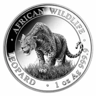 African Wildlife Leopard