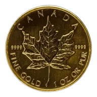 Impaired Gold Maple (Abrasion, Spots, etc.)