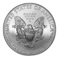 2014 Silver Bullion 1 Ounce Eagle Coin United States of America - Pre-Owned