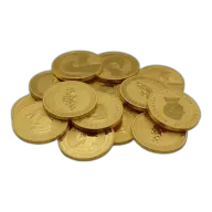 1oz Gold Coin Various Brands