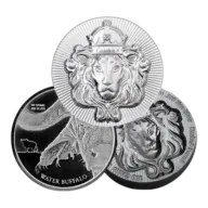 100g Silver Round