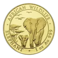 Somalian Gold Elephant Coin, 1oz - Backdated