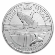 Humpback Whale