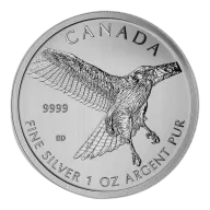 1 oz Birds of Prey Silver Coin
