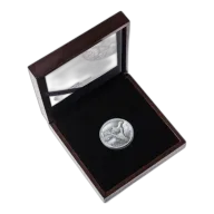 2026 5 oz Silver African Range Surveying Cheetah