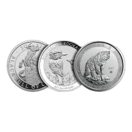 10 oz Random Silver Coin 999.5
