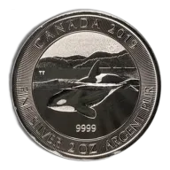 2019 2 Oz Canadian Orca Whale Silver Coin - BU