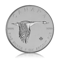 Canada Goose