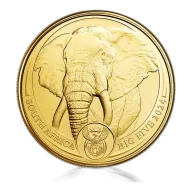 1oz Gold South African Elephant Big Five Series (2024)