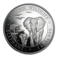 1 Kilo Somalia Elephant