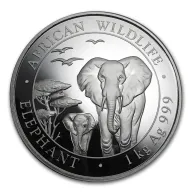Somalia Elephant