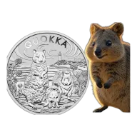 Perth Mint 2024 Australian Quokka 1oz Silver Bullion Coin in Capsule (1oz)