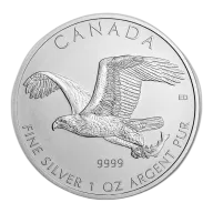 1 Oz Silver Birds of Prey Series Bald Eagle 2014 RCM