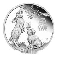 1/2 oz 99.9% Silver Lunar Rabbit Coin 2023