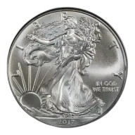 1 oz American Silver Eagle Silver Coin