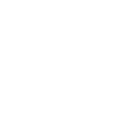 First Mint logo