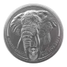 South African Platinum Elephant 1oz - Backdated