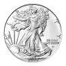 1 oz American Eagle Silver Coin