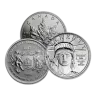 1/2 oz Platinum Coin .9995 Fine - Random Brand - Secondary Market