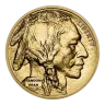 1 oz American Buffalo Gold Coin