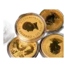 Random Perth Mint Gold Coin 1oz
