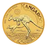 Kangaroo 1/2oz Gold Coin 2026
