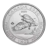 1.5 oz North American Bald Eagle Silver Coin