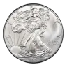 2014 American Silver Eagle Coin