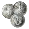 American Silver Eagle Coin (Varied Condition - Random Year)
