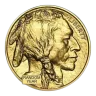 1 Oz Gold American Buffalo Coin (Random Year)