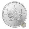 1 oz Canadian Platinum Maple Leaf Coin (Random Year)