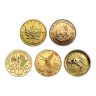 1/10 oz Government Gold