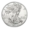 2013 Silver American Eagle - BU
