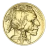 1 oz American Buffalo Gold Coin