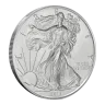 2013 1 oz American Silver Eagle Coin