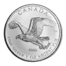 2014 RCM 1 oz Silver Birds of Prey Series Bald Eagle (Spotted)