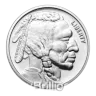 1 oz 99.9% Silver Buffalo Round