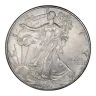 1996 American Silver Eagle Coin | Cull Condition