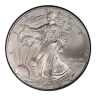 2010 American Silver Eagle Coin