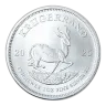 1 oz South African Mint Krugerrand Silver Coin