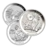Australian Koala Silver Coin 1 oz - Random Year