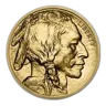 2023 1 oz Gold Buffalo BU